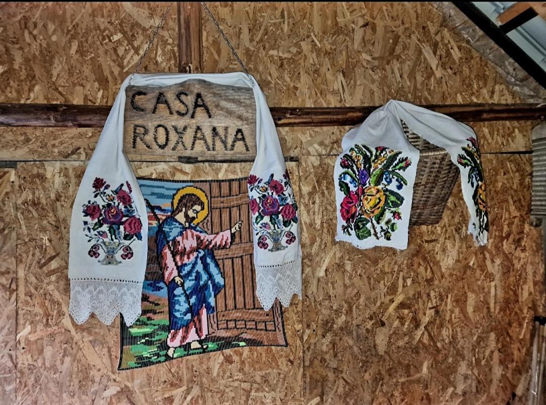 Casa Roxana Villa Viseu de Mijloc Exteriör bild