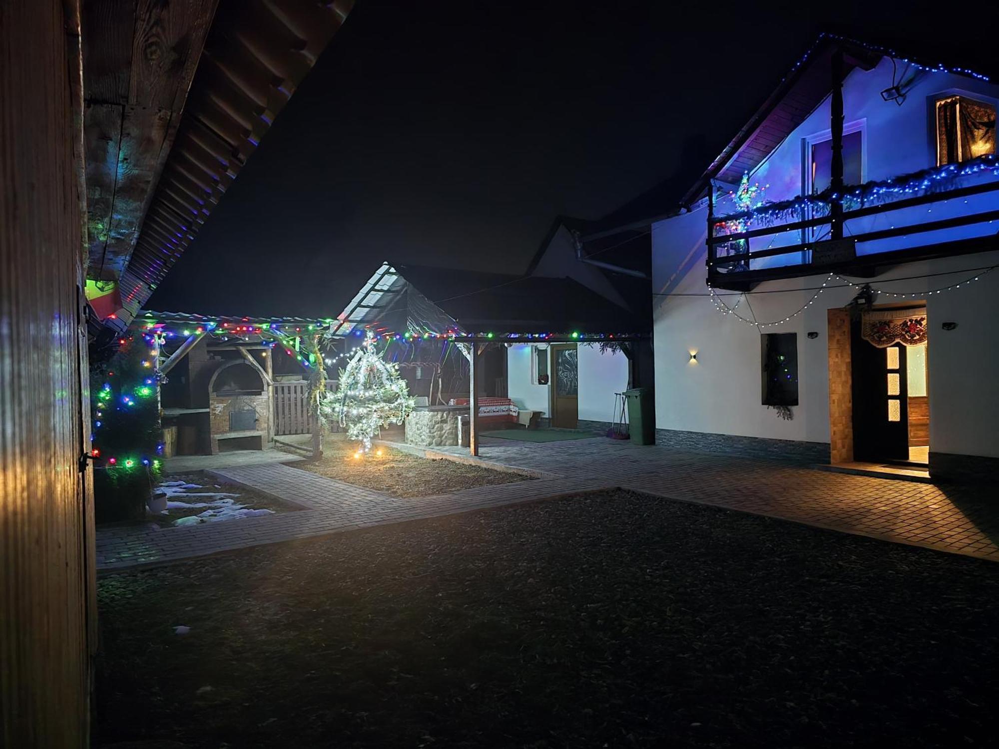 Casa Roxana Villa Viseu de Mijloc Exteriör bild